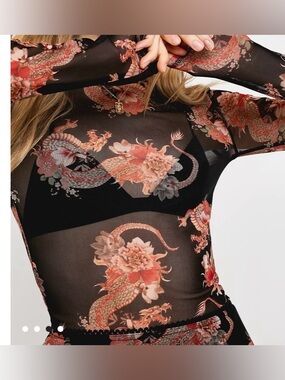 Urban Outfitters (Sheer Dragon Top Size S) - UO 90s Dragon Print Mesh Crew Neck